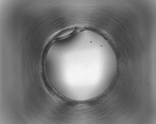 X0000063530536200602172245