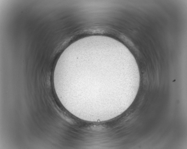 X0000063530537200602172245