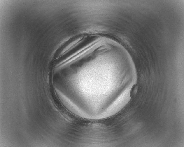 X0000063530539200602172245