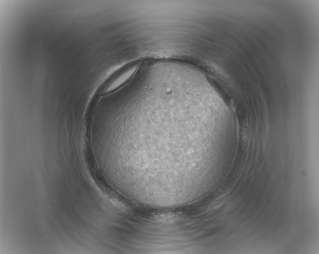 X0000063530540200602172245