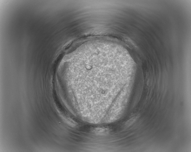 X0000063530542200602172245