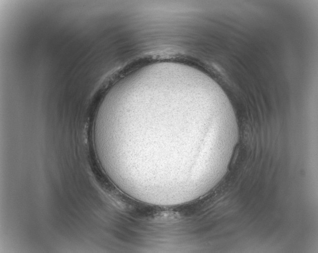 X0000063530543200602172245