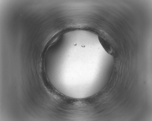 X0000063530544200602172245