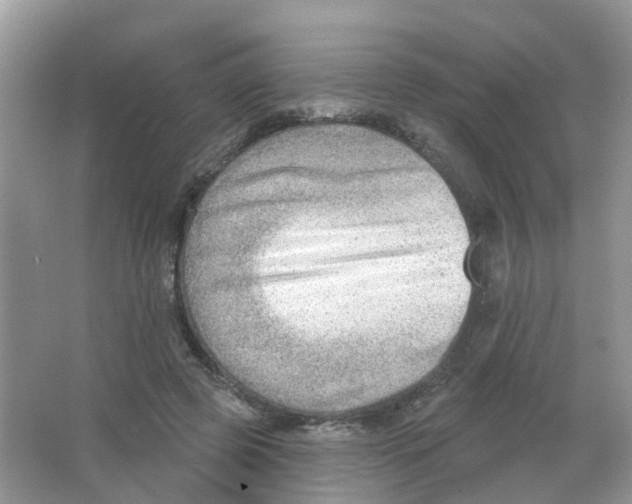 X0000063530545200602172245