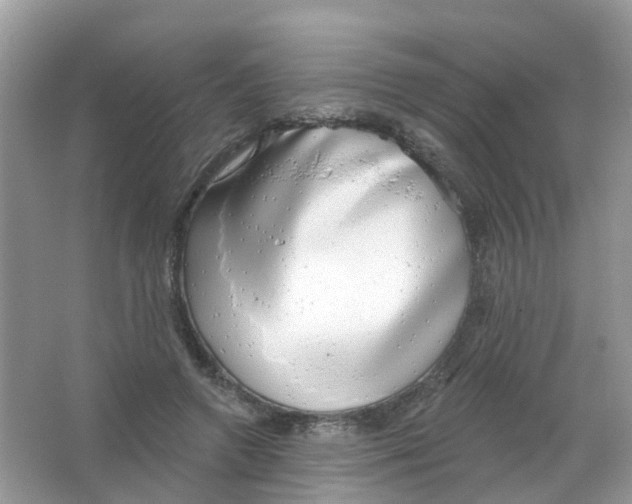 X0000063530546200602172245