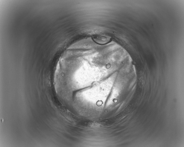 X0000063530547200602172245