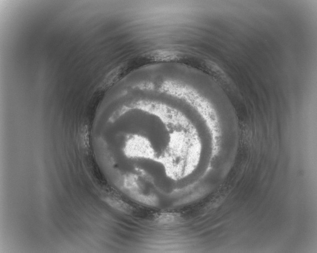 X0000063530549200602172245