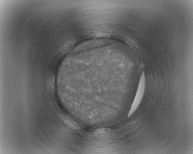 X0000063530550200602172245