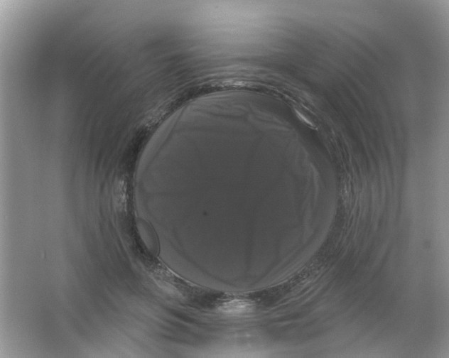 X0000063530551200602172245