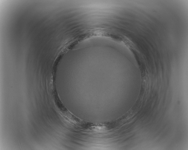 X0000063530552200602172245