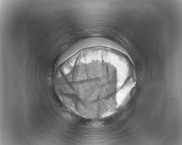 X0000063530553200602172245