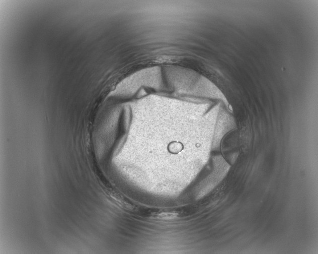 X0000063530554200602172245