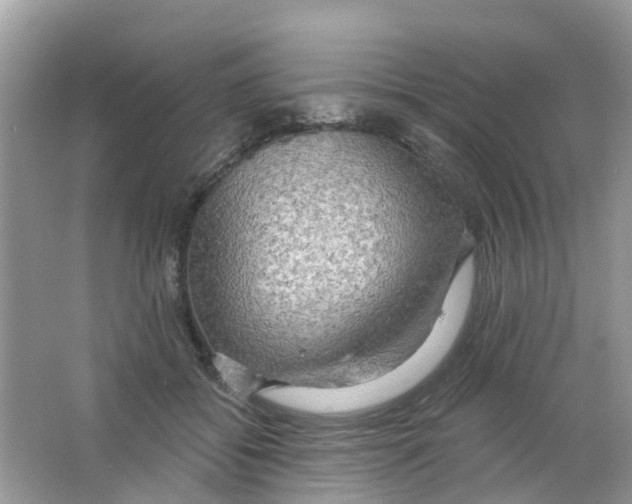 X0000063530556200602172245