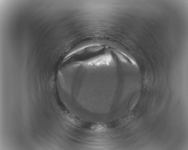 X0000063530559200602172246