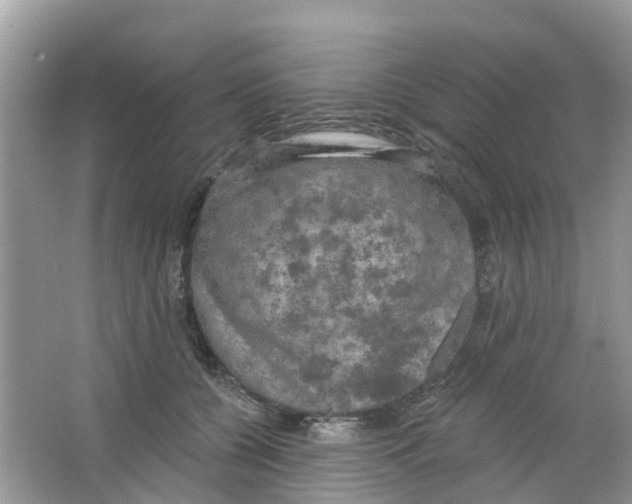 X0000063530560200602172246