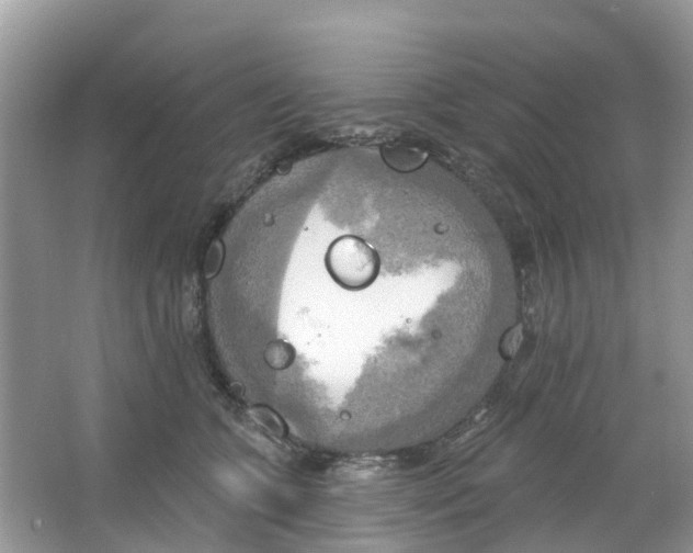 X0000063530563200602172246