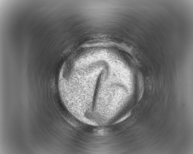 X0000063530564200602172246