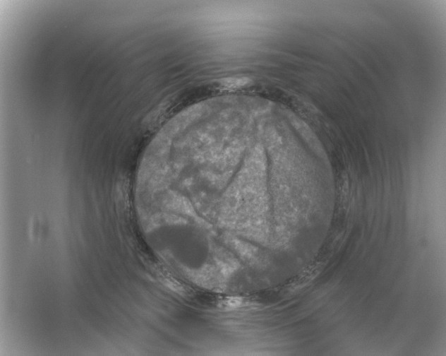 X0000063530565200602172246