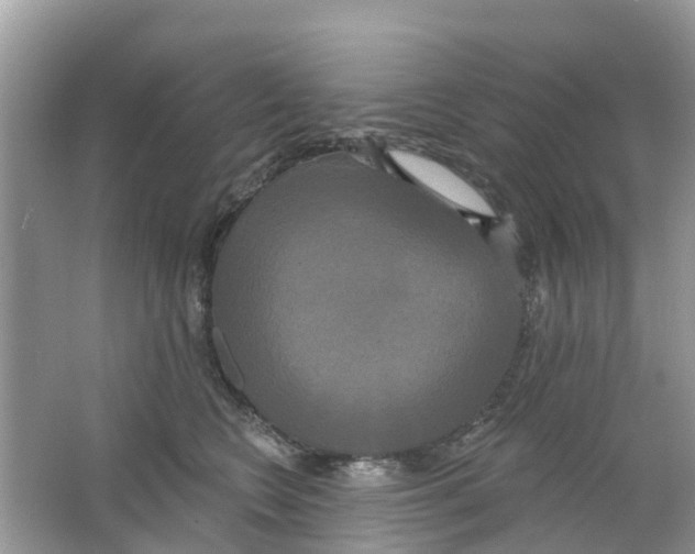 X0000063530566200602172246