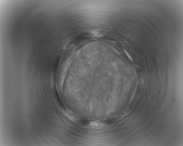 X0000063530568200602172246