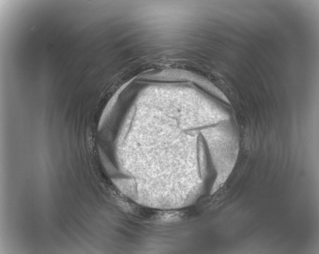 X0000063530569200602172246