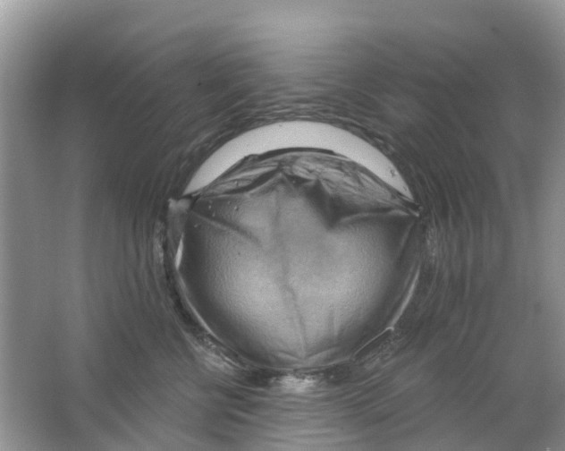 X0000063530570200602172246