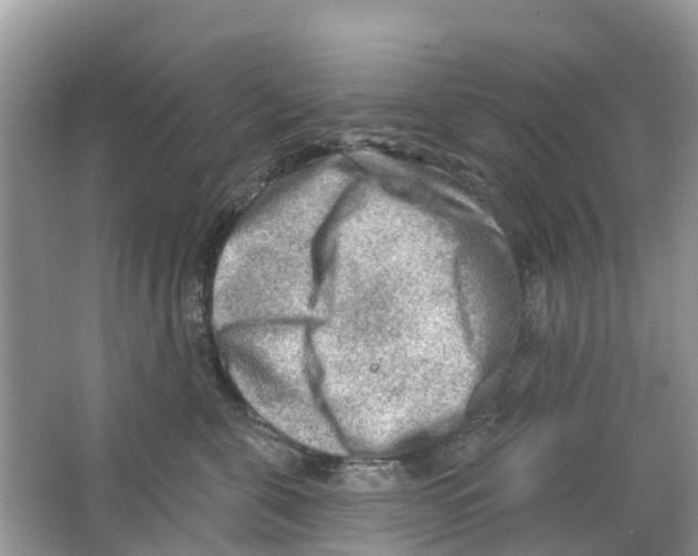 X0000063530571200602172246