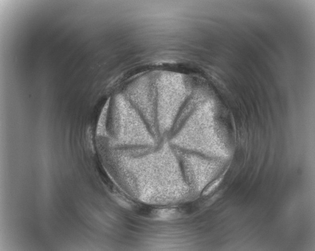 X0000063530575200602172246