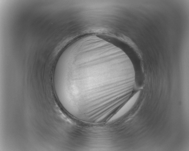 X0000063530577200602172245