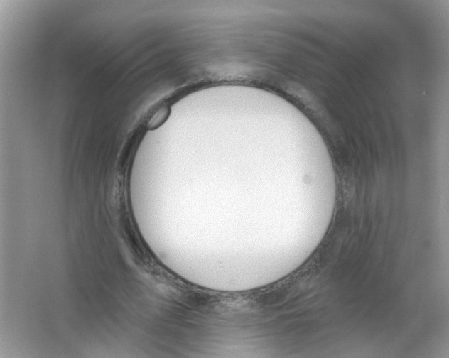 X0000063530583200602172245