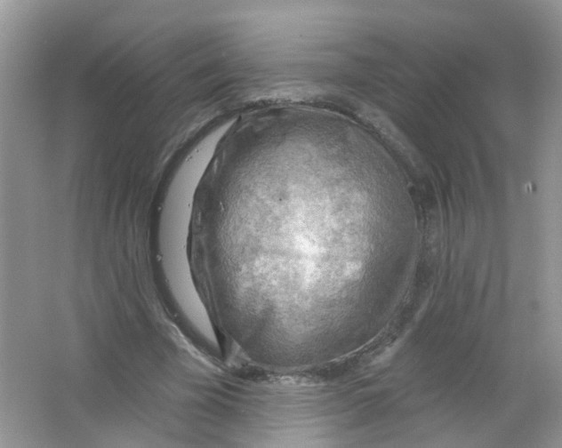 X0000063530585200602172245