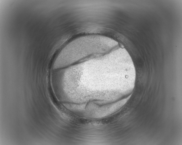 X0000063530586200602172245