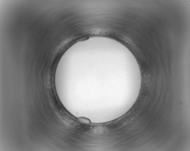 X0000063530587200602172245