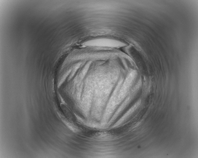 X0000063530589200602172245