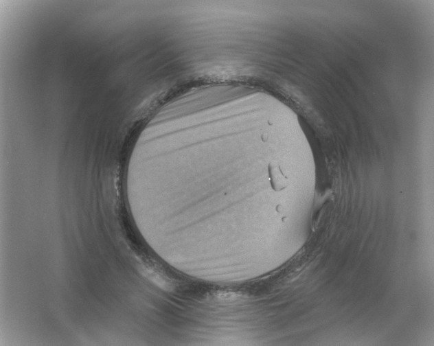 X0000063530590200602172245