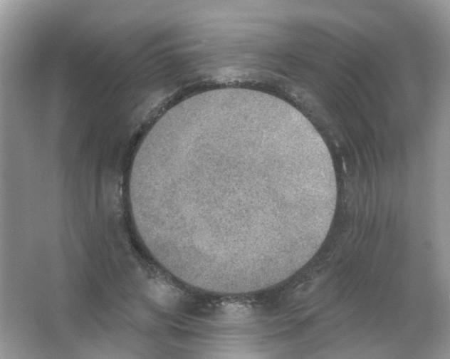 X0000063530592200602172245