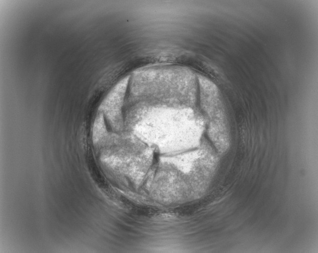 X0000063530594200602172245