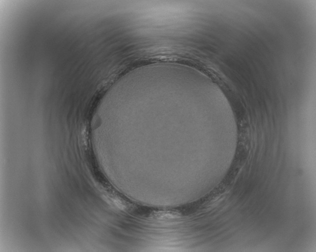 X0000063530597200602172245