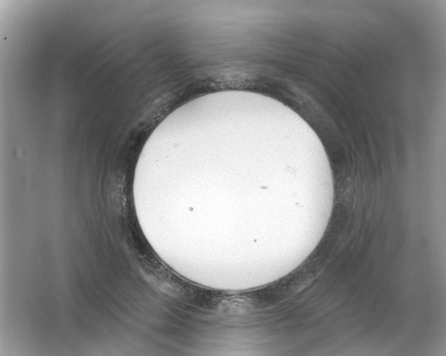 X0000063530599200602172245