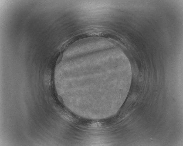 X0000063530600200602172245