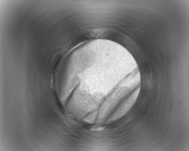 X0000063530602200602172245