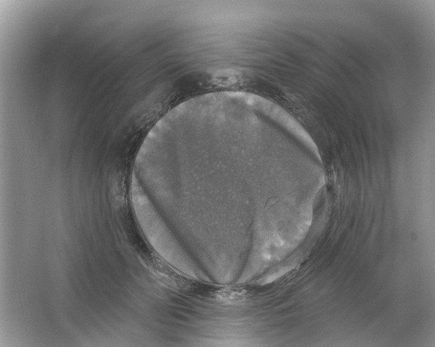 X0000063530606200602172245