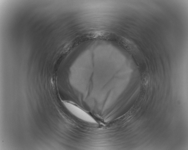 X0000063530607200602172244