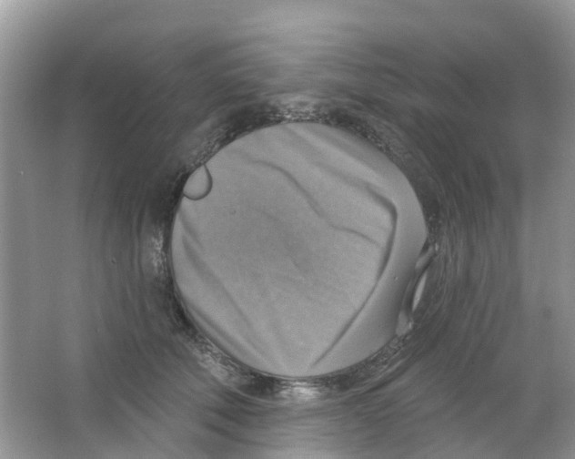 X0000063530610200602172244