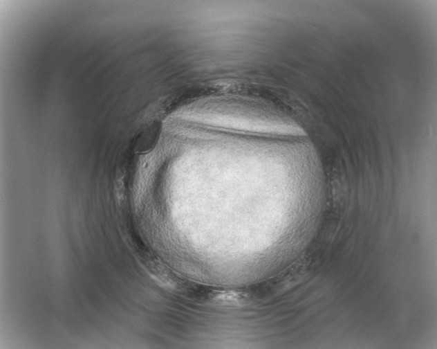 X0000063530611200602172244