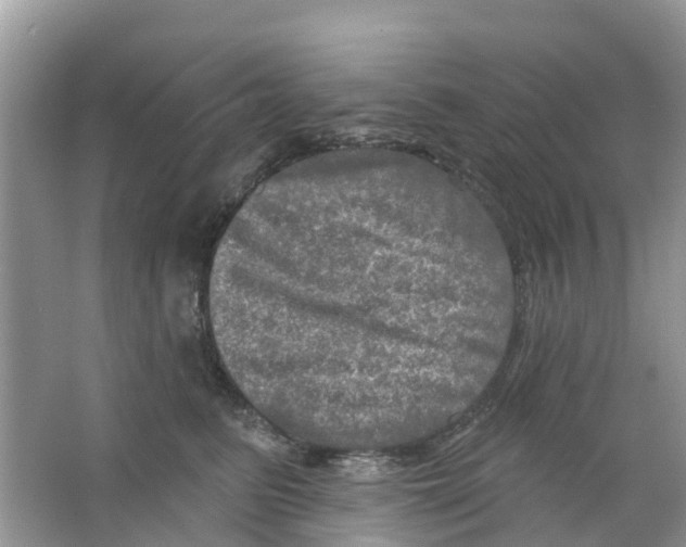 X0000063530615200602172244