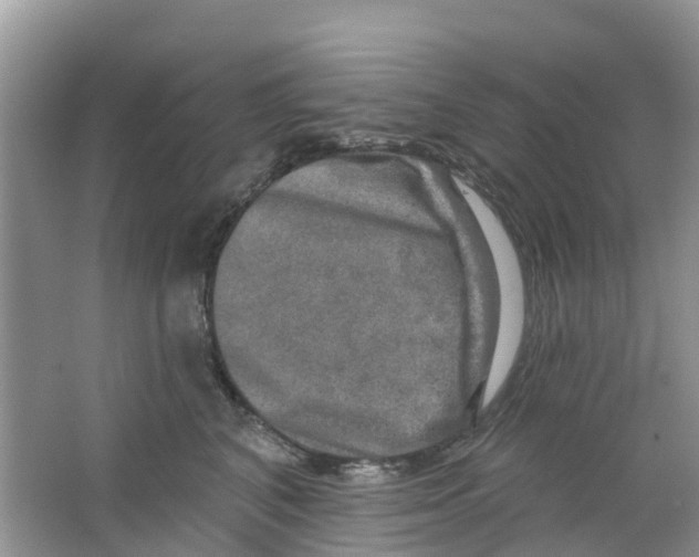 X0000063530616200602172244