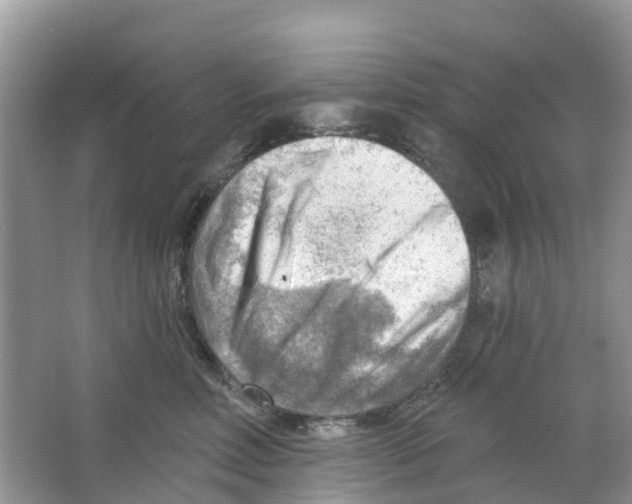 X0000063530618200602172244