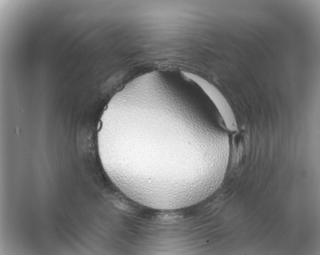 X0000063530619200602172244