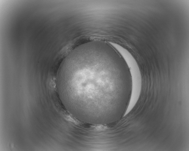 X0000063530621200602172244